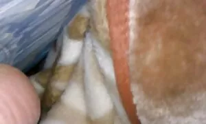 Irgendwo Mann Tattoo einer schönen Brünette entfernen, und was sehr wichtig war, war sehr zugänglich, und zog sie in das Hotelzimmer. Eine alte ehehuren Maschine wurde installiert, in der einige nicht einmal ahnten. Die Mädchen waren aus der Hose des Babys und saugt gut, danach zog ins Bett und streckte seine Beine für einen guten Spaziergang.